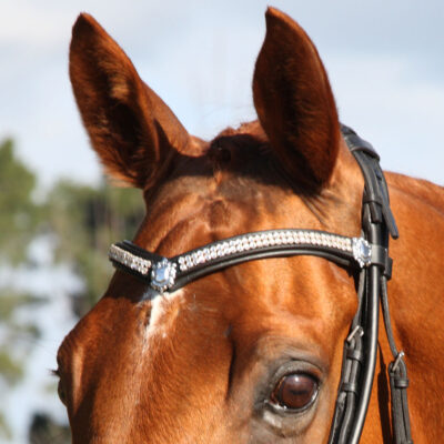 Browbands