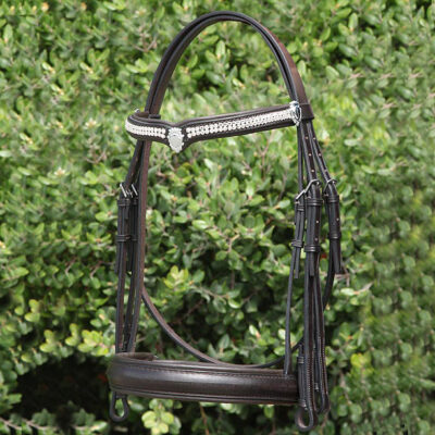 Wagners Bridle I