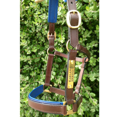 WS Deluxe Halters